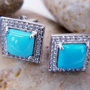 Sleeping Beauty, Turquoise Earrings.
